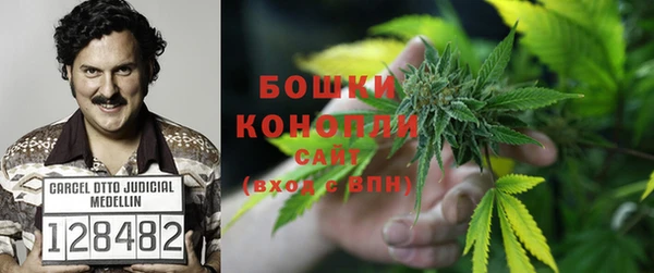 соль ск Балахна