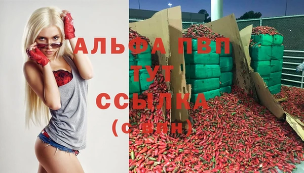 хмурый Покров