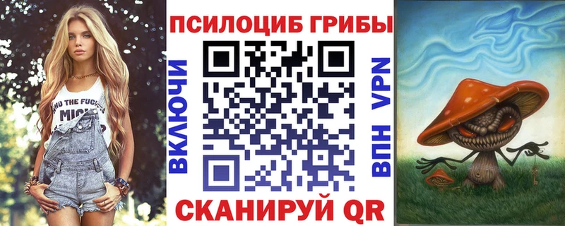 хочу Нижний Ломов Галлюциногенные грибы Psilocybine cubensis